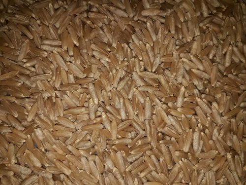 khapli-emmer-whole-wheat-organic-500x500