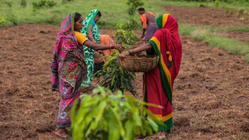 Women In Agriculture